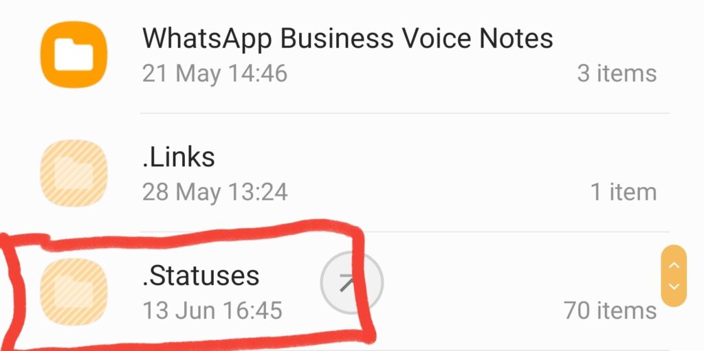.statuses hidden whatsapp folder