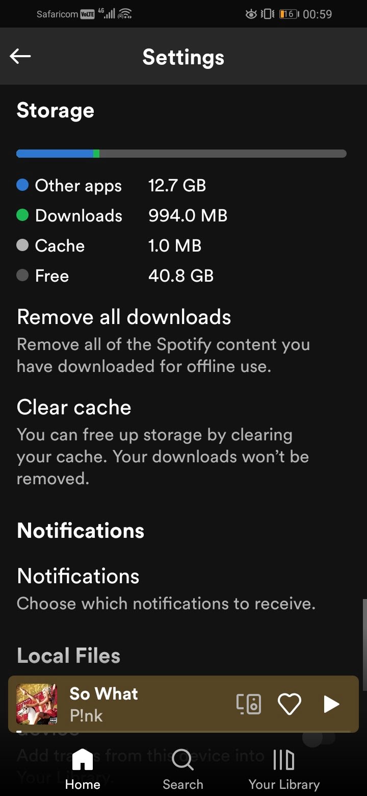 Spotify downloads