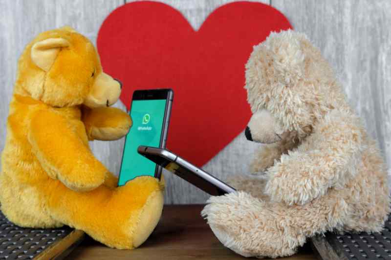 Two teddy bears