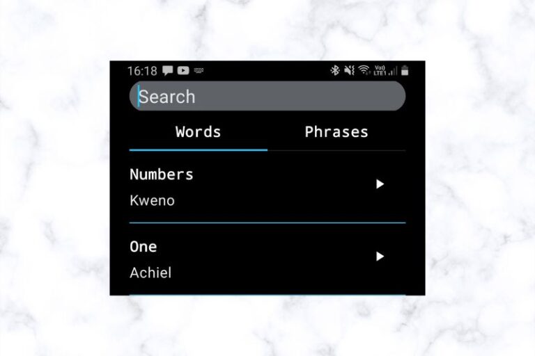 SearchView on Android app