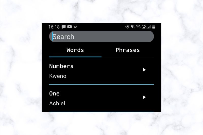 SearchView on Android app